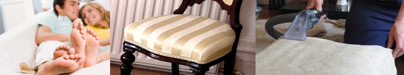 upholstery cleaning services